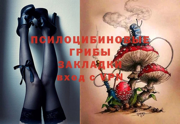 дурь Алексеевка