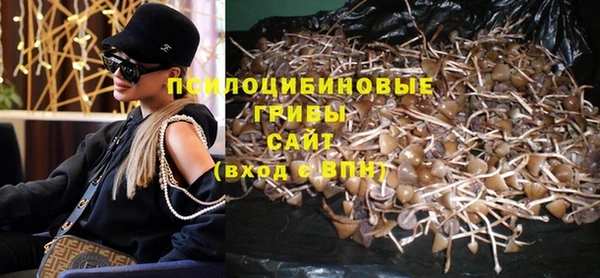 дурь Алексеевка