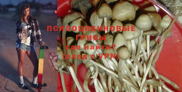 ALPHA PVP Алзамай