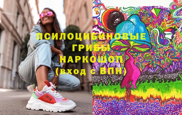 дурь Алексеевка