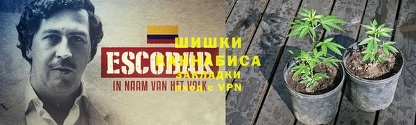 гашик Арсеньев
